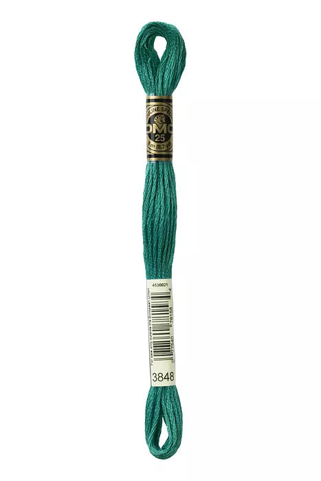 Fil à broder Mouliné Spécial DMC 3848 Vert canard