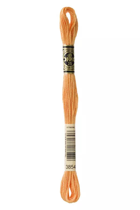 Fil à broder Mouliné Spécial DMC 3854 Epices