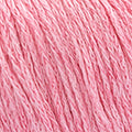 Eunoia Katia 103 rose