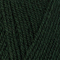 Planet Laine Katia 4011 vert bouteille