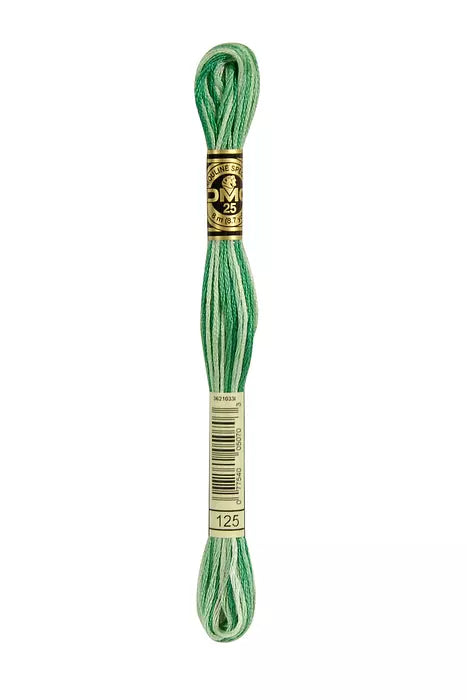 Fil à broder Mouliné Spécial DMC 125 Vert printemps ombré