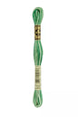 Fil à broder Mouliné Spécial DMC 125 Vert printemps ombré