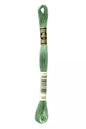 Fil à broder Mouliné Spécial DMC 320 Vert fougère