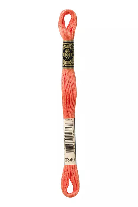 Fil à broder Mouliné Spécial DMC 3340 Abricot