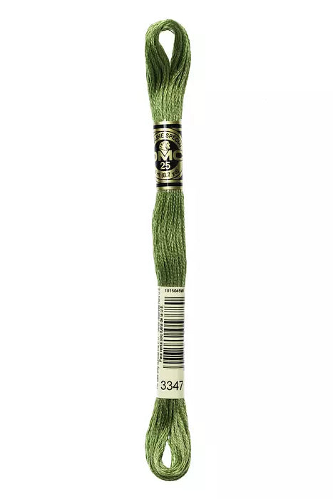 Fil à broder Mouliné Spécial DMC 3347 Vert scarabée