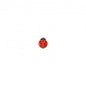 Bouton Coccinelle 15 mm 024 Rouge