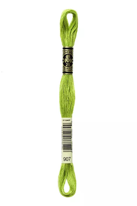Fil a broder Mouline Special  DMC 907 Granny smith