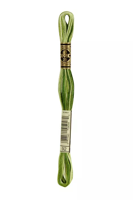 Fil a broder Mouline Special  DMC 92 Vert feuillage ombré