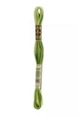 Fil a broder Mouline Special  DMC 92 Vert feuillage ombré