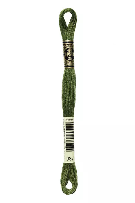 Fil a broder Mouline Special  DMC 937 Vert mousse
