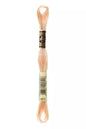 Fil a broder Mouline Special  DMC 951 Beige cachemire