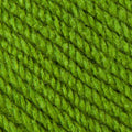 Planet Laine Katia 3966 vert clair